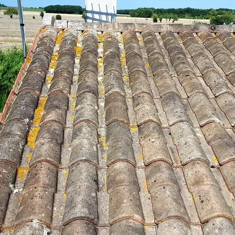 État avant intervention : toiture en tuiles avec lichens et dépôts visibles près de Cognac