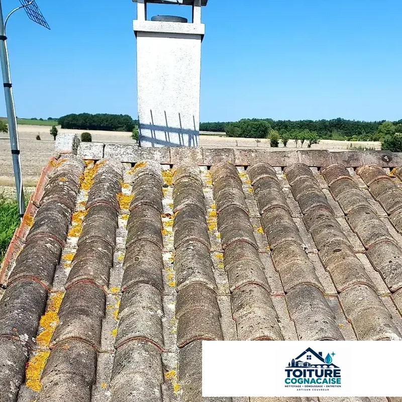 Diagnostic avant intervention : lichens visibles sur une toiture en tuiles près de Cognac